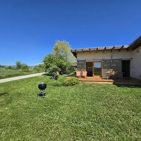 Les Syrphes Nyaraló