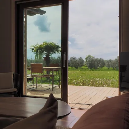 Les Syrphes * La Brillanne