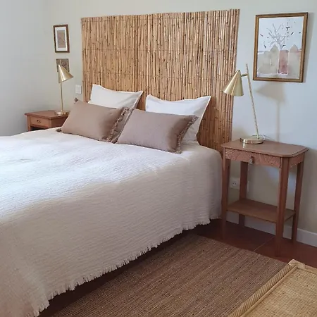 Les Syrphes * La Brillanne