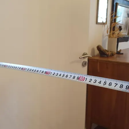 Les Syrphes Nyaraló *