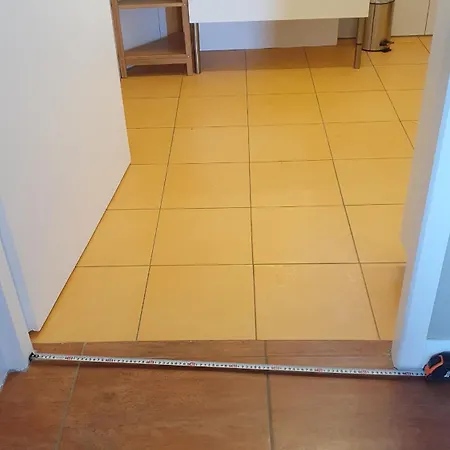 Les Syrphes Nyaraló *