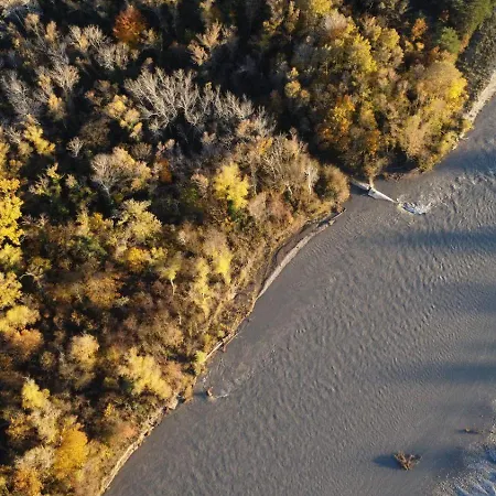 Les Syrphes Nyaraló *