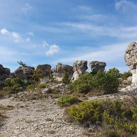 Nyaraló Les Syrphes